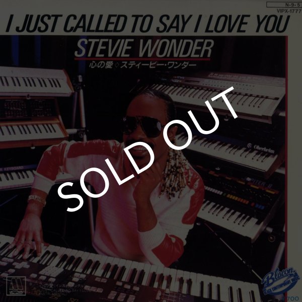 画像1: Stevie Wonder / I Just Called To Say L Love You(Motown/45s) (1)