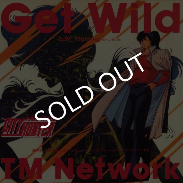 画像1: TM Network/Get Wild(Epic/45s)  (1)