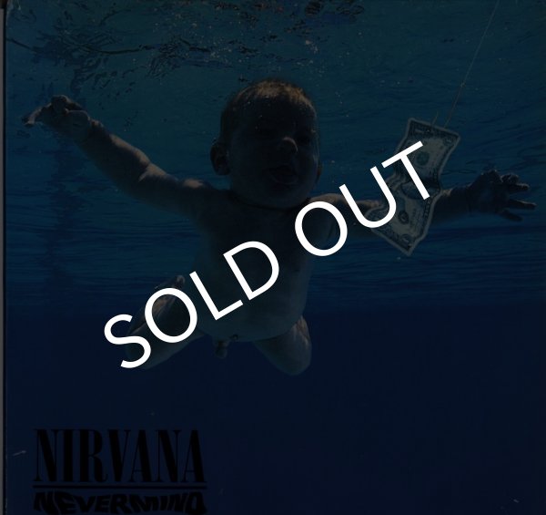 画像1: Nirvana / Nevermind(David Geffen Company/LP) (1)